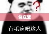 包庇罪深度探究，法律定义、构成要件及法律后果解析