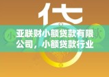 亚联财小额贷款有限公司，小额贷款行业新标杆引领者