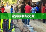 党员权利与义务，深入理解与实践指南