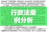 行政法案例分析，法律实践与理论应用探究