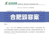 合肥毁容案深度剖析与反思启示