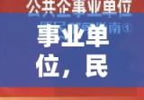 事业单位，民生与公共服务的坚实组织力量