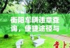 衡阳车辆违章查询，便捷途径与操作指南