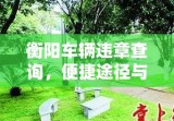 衡阳车辆违章查询，便捷途径与操作指南