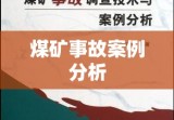 煤矿事故案例分析，悲剧背后的警示与深刻反思