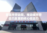 宜昌市劳动局，推动城市劳动力发展的核心驱动力