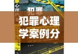 犯罪心理学案例分析，深度探索心理犯罪的复杂世界