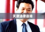 天津法律咨询，法治的坚实后盾守护者