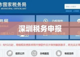 深圳税务申报，高效便捷的专业服务之旅