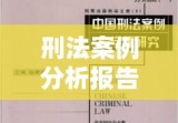 刑法案例分析报告，探究法律实践与司法公正的深度融合