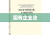 国有企业法，构建现代企业管理体系的基石