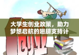 大学生创业政策，助力梦想启航的翅膀支持计划