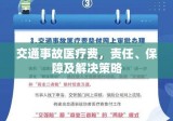 交通事故医疗费，责任、保障及解决策略