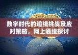 数字时代的追缉挑战及应对策略，网上通缉探讨