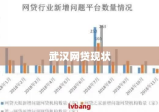 武汉网贷，现状剖析、挑战应对与未来展望