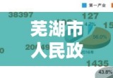 芜湖市人民政府，推动城市发展的核心引擎