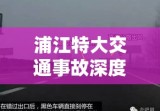 浦江特大交通事故深度剖析与反思