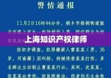 上海知识产权律师，创新智慧的守护者，先锋力量的代表