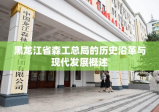 黑龙江省森工总局的历史沿革与现代发展概述