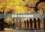 东京大学录取条件解析，入学门槛与要求探索