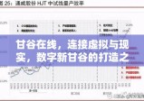 甘谷在线，连接虚拟与现实，数字新甘谷的打造之路