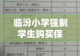 临汾小学强制学生购买保险引发问题与反思