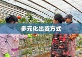 多元化出资方式，驱动企业发展的核心动力