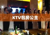 KTV包房公主，职业背后的故事揭秘与探索