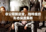 非公司制企业，独特组织形态深度解析