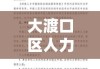 大渡口区人力资源和社会保障局，构建人力资源与社会保障的有力举措