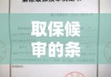 取保候审的条件及其适用情境解析