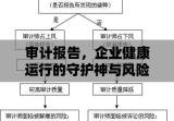 审计报告，企业健康运行的守护神与风险预警的明灯