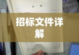 招标文件详解，从编制到实施的全程指南