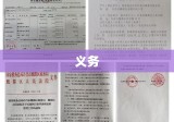 担保人角色深度解读，义务、责任与担当诠释