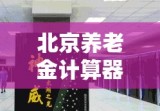 北京养老金计算器，规划您的养老生活，安心无忧的未来保障