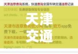 天津交通违章查询，便捷途径与指南