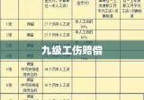 九级工伤赔偿全面解析