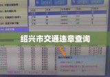 绍兴市交通违章查询，便捷服务助力高效城市交通管理