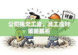 公司拖欠工资，员工应对策略解析