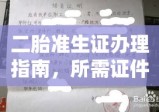 二胎准生证办理指南，所需证件与流程详解