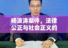 杨波涛案件，法律公正与社会正义的严峻考验