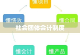 社会团体会计制度，构建透明与效率的基石之道