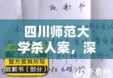 四川师范大学杀人案，深度探究背后的悲剧与反思