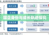 中联重科的企业性质与发展，国企身份揭秘与成长轨迹探究