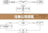 注册公司所需手续与流程概述