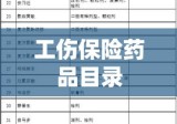 国家医保和工伤保险药品目录的重要性及其深远影响