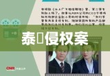 泰囧侵权案，知识产权保护的挑战与应对策略探究