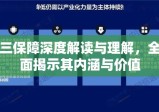 三保障深度解读与理解，全面揭示其内涵与价值