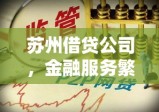 苏州借贷公司，金融服务繁荣下的责任担当