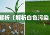 白色污染定义与解析